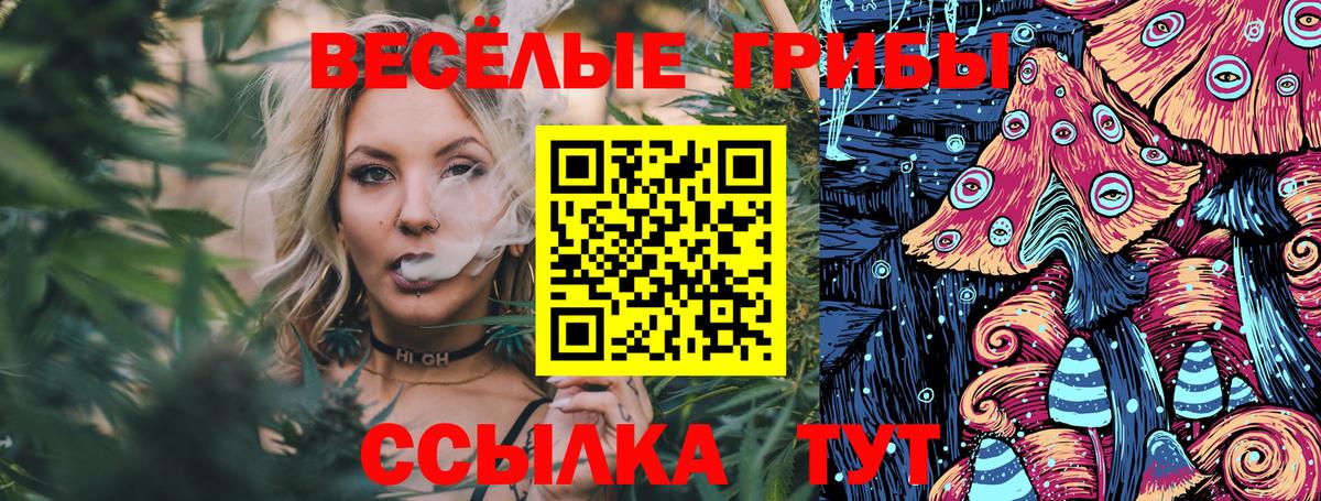 Галлюциногенные грибы прущие грибы Жуковский