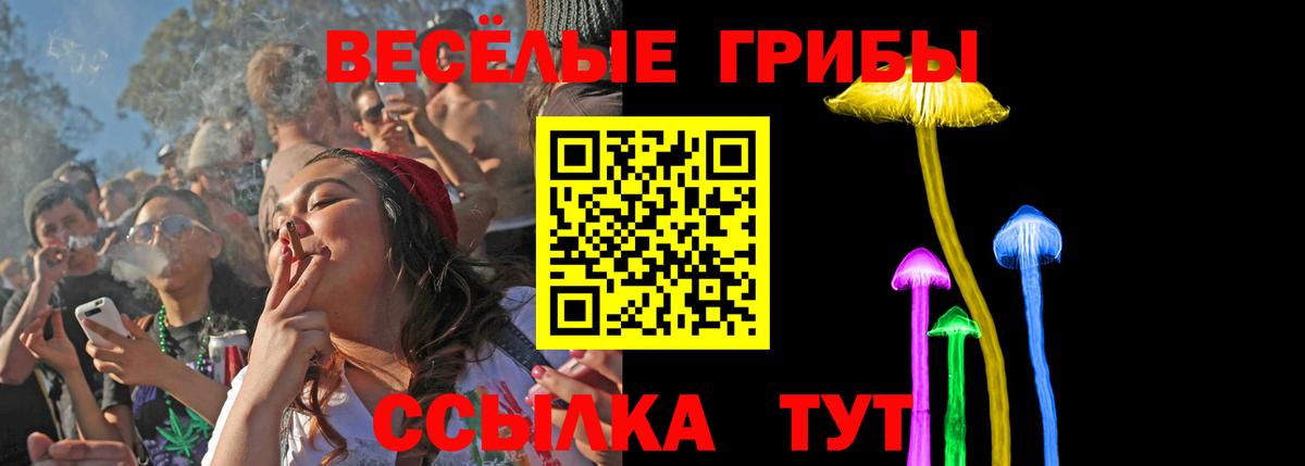 Жуковский  Псилоцибиновые грибы Psilocybe  Вход с VPN 